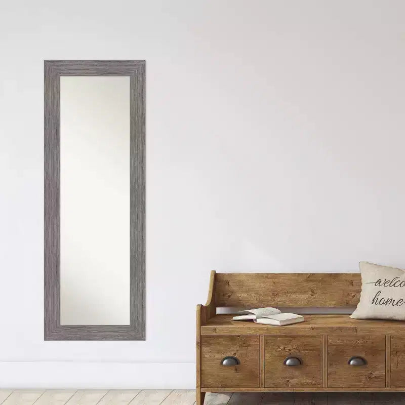 20"x54" Full Length Over-the-Door Mirror with Gray Pinstripe Frame