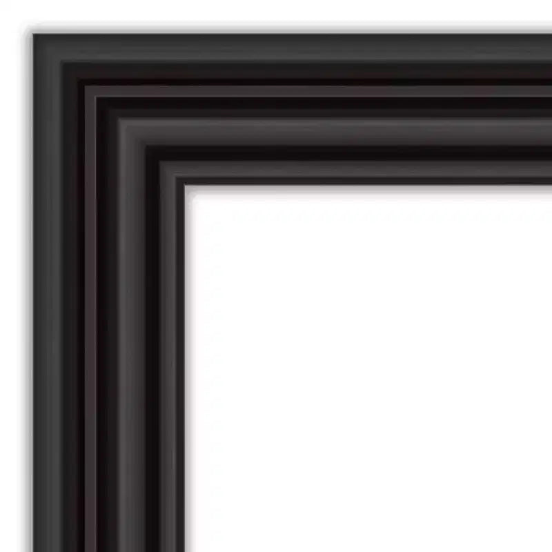 20"x54" Full Length Over-the-Door Mirror with Colonial Black Frame