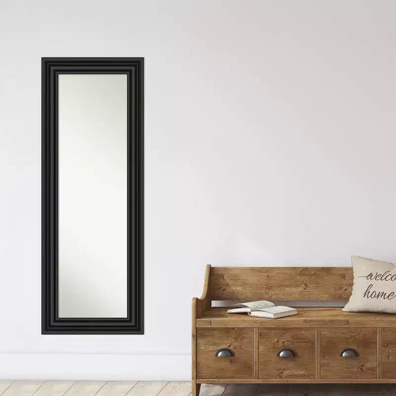 20"x54" Full Length Over-the-Door Mirror with Colonial Black Frame