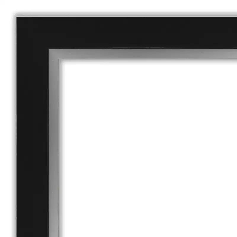 20"x54" Full Length Over-the-Door Mirror with Black Silver Frame