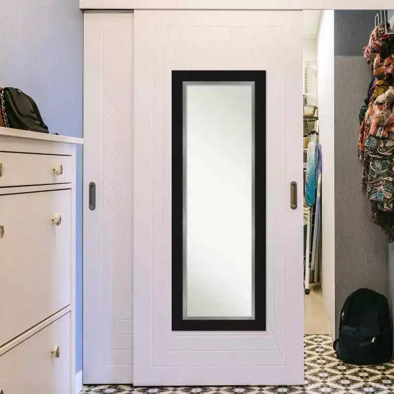 20"x54" Full Length Over-the-Door Mirror with Black Silver Frame