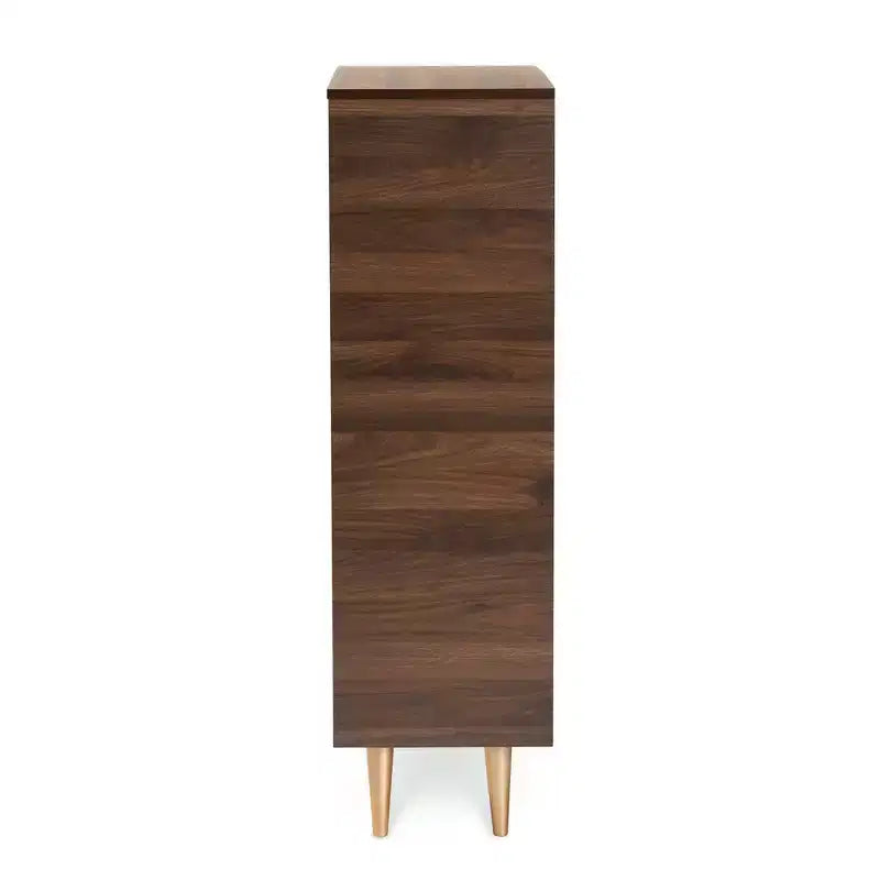 Mid-Century Modern 2-Door Shoe Storage Cabinet in Walnut Brown & Gold