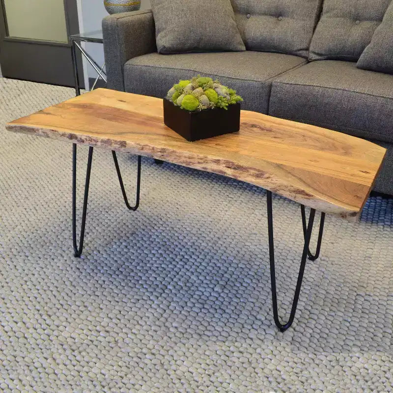 Live Edge Coffee Table / Bench with Gold Hairpin Legs